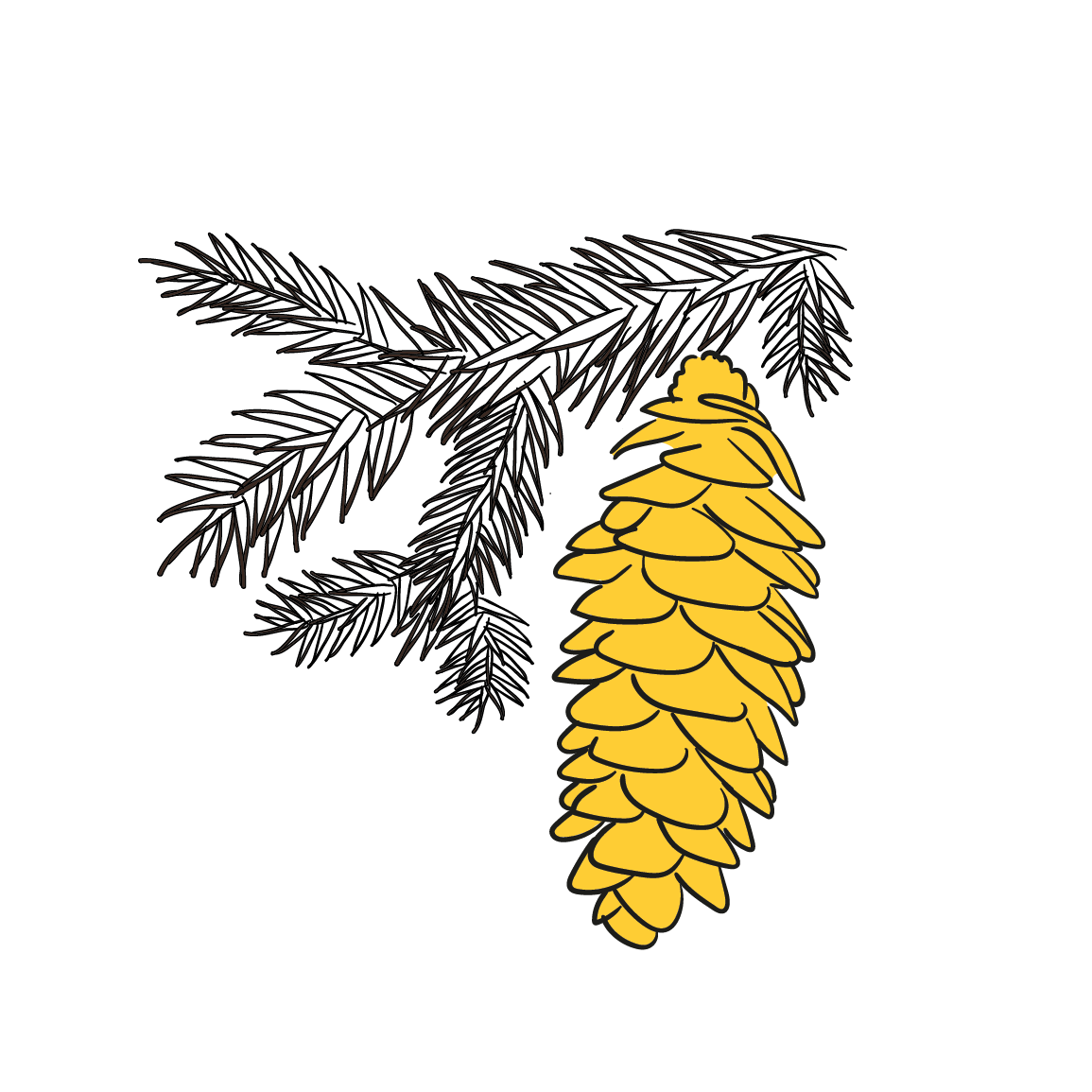 Med medovicový - lesní 960 g