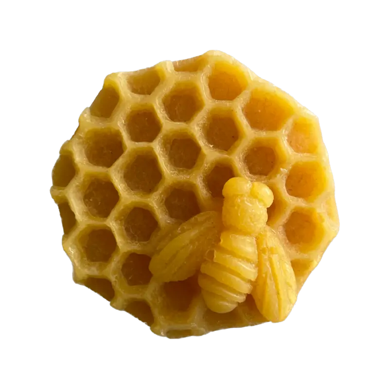 Včelí vosk - plástev